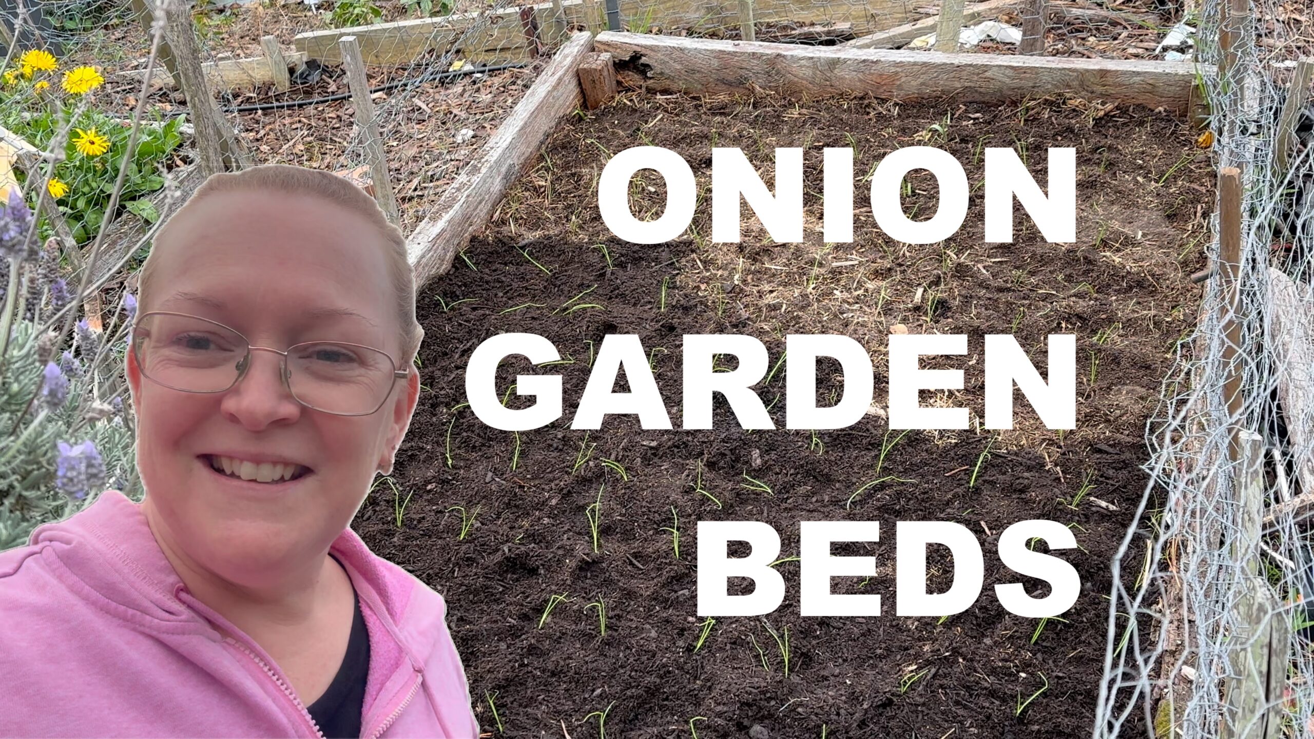Onion Garden Beds