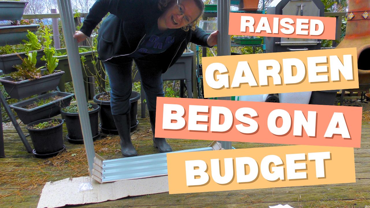 Raised Garden Beds On A Budget