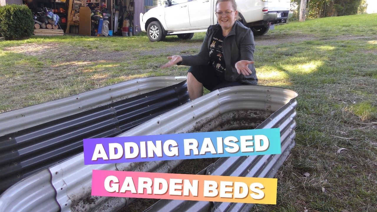 Adding More Raised Garden Beds to the Veggie Patch