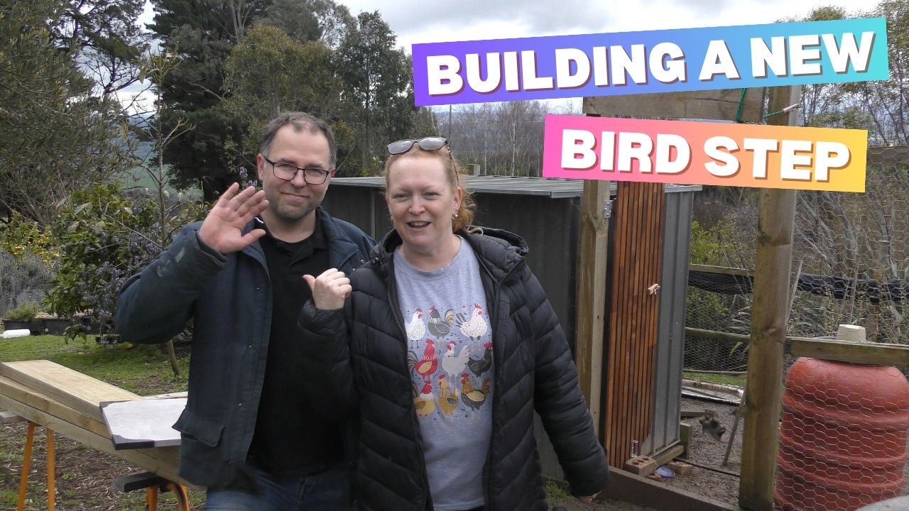 Building a new Bird Step