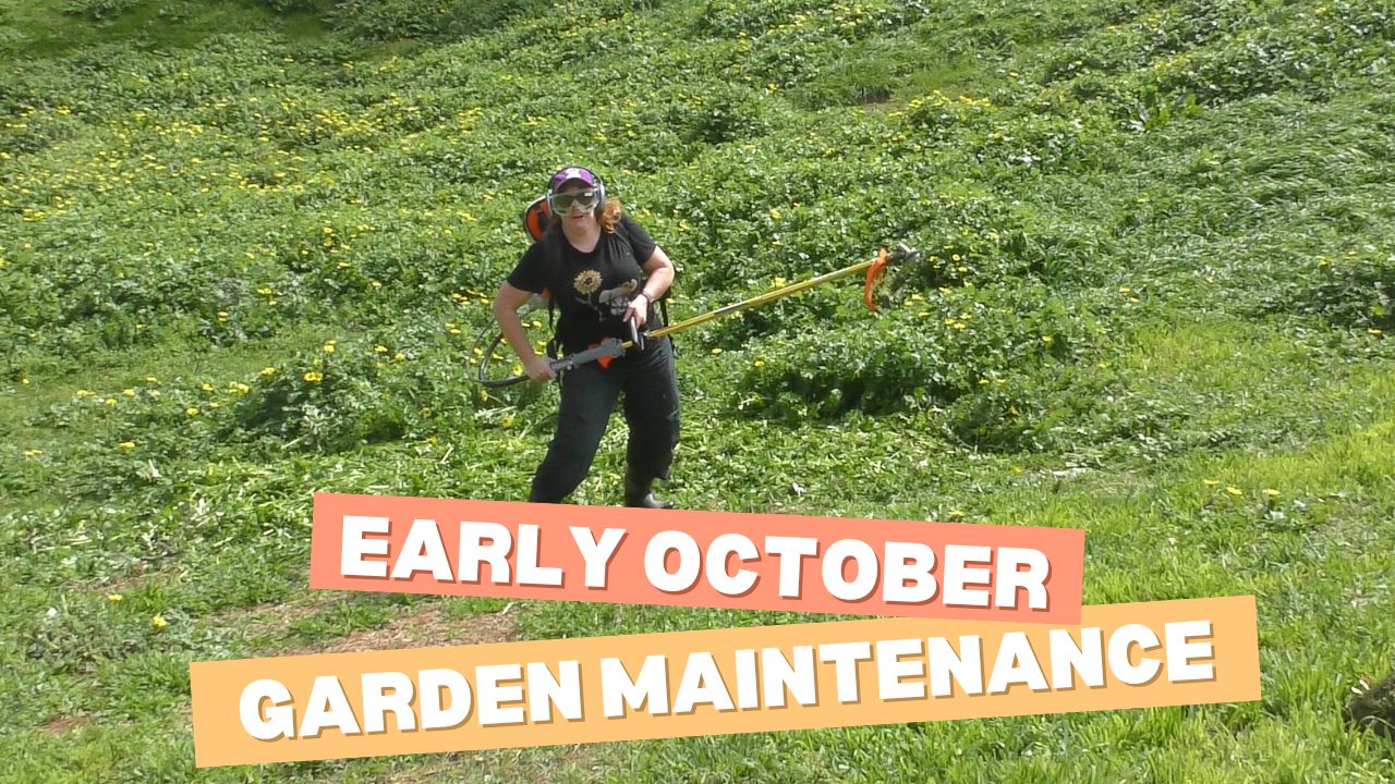 Early October Garden Maintenance