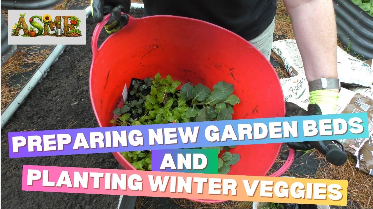 Preparing New Garden Beds and Planting Winter Veggies [ASMR]