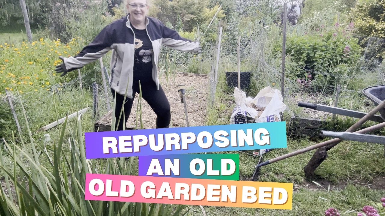 Repurposing an Old Garden Bed