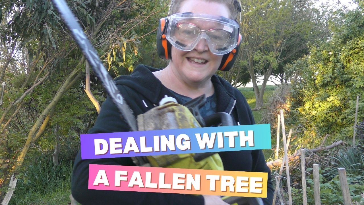 Dealing with a Fallen Tree in the Veggie Garden