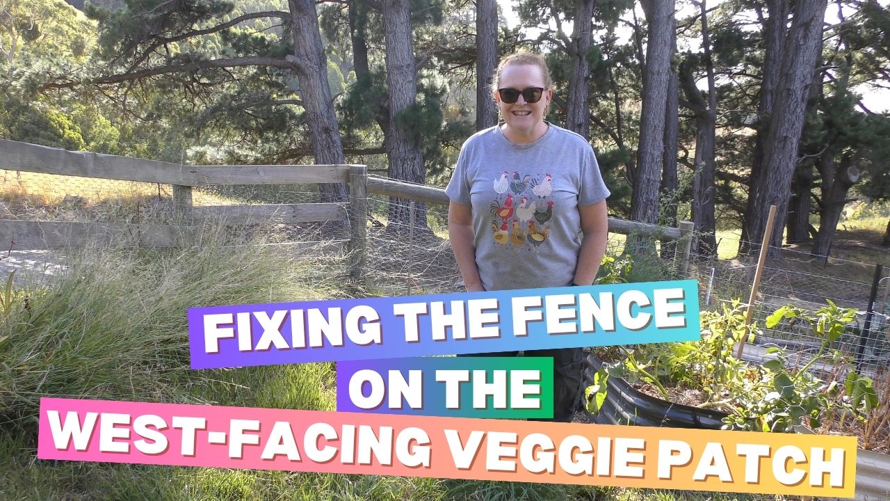 Fixing the Fence on the West-facing Veggie Patch [Timelapse]
